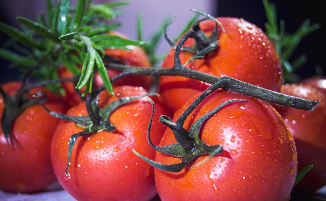 La tomate juteuse est parfaite pour sublimer vos salades et sauces maison